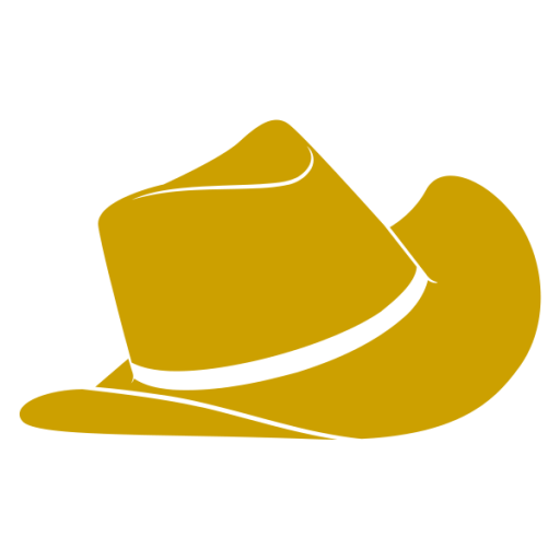 hwy90country.com favicon